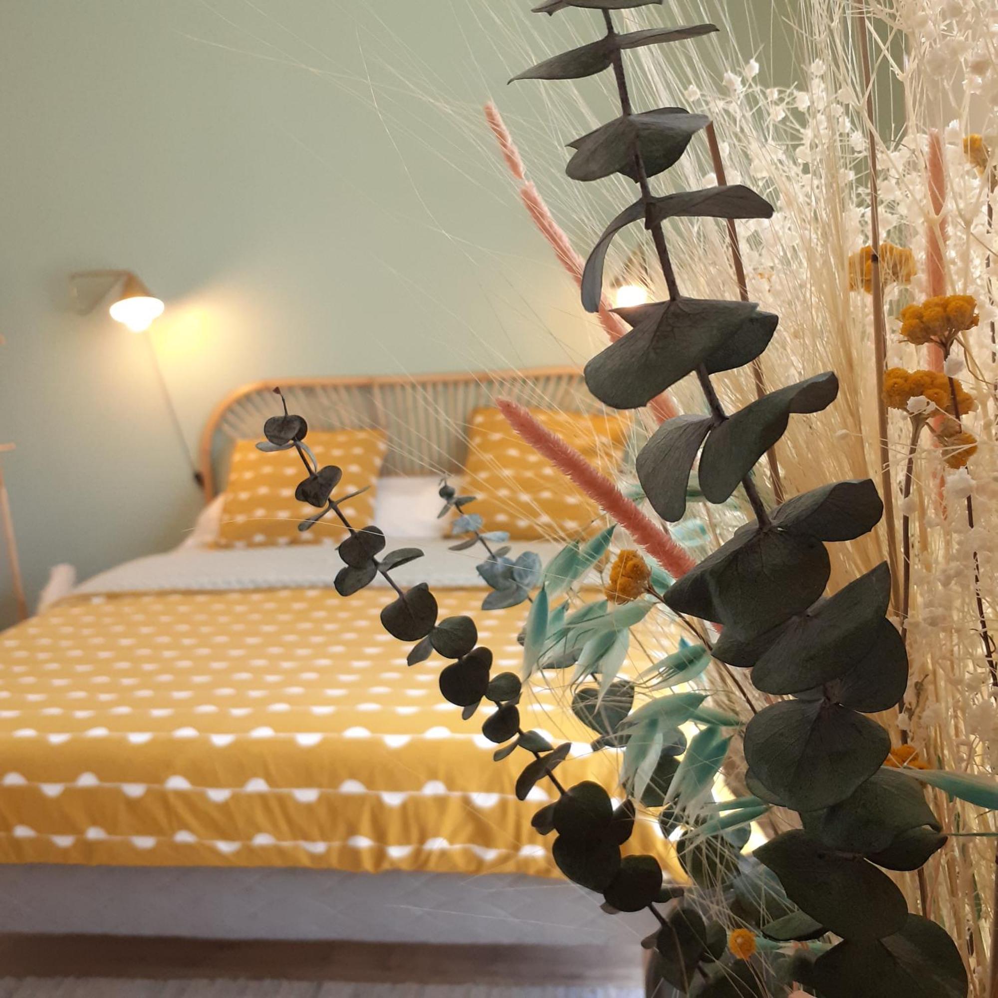 Vagabondes Chambres D'Hotes アゼ・ル・リドー 部屋 写真